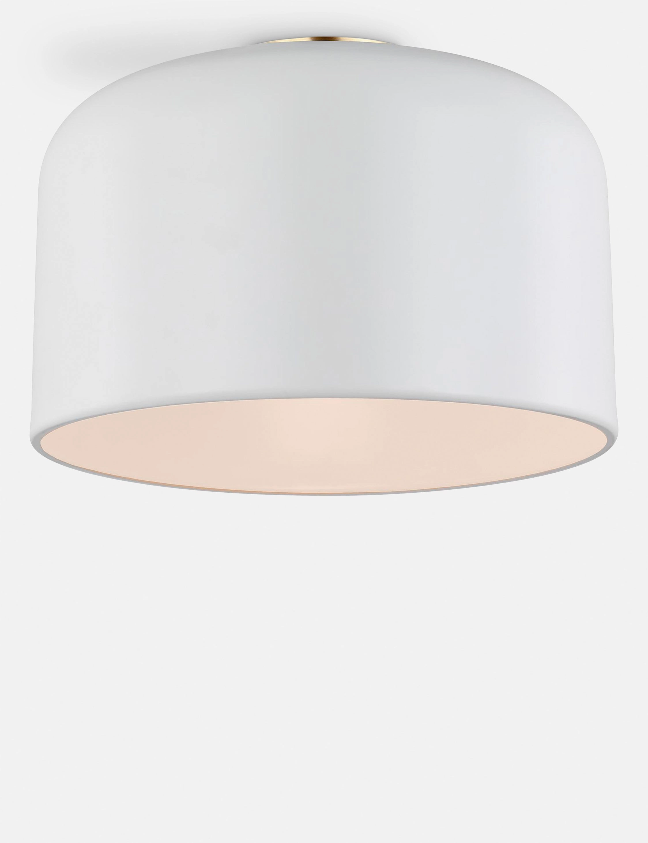 Olaf Flush Mount Light