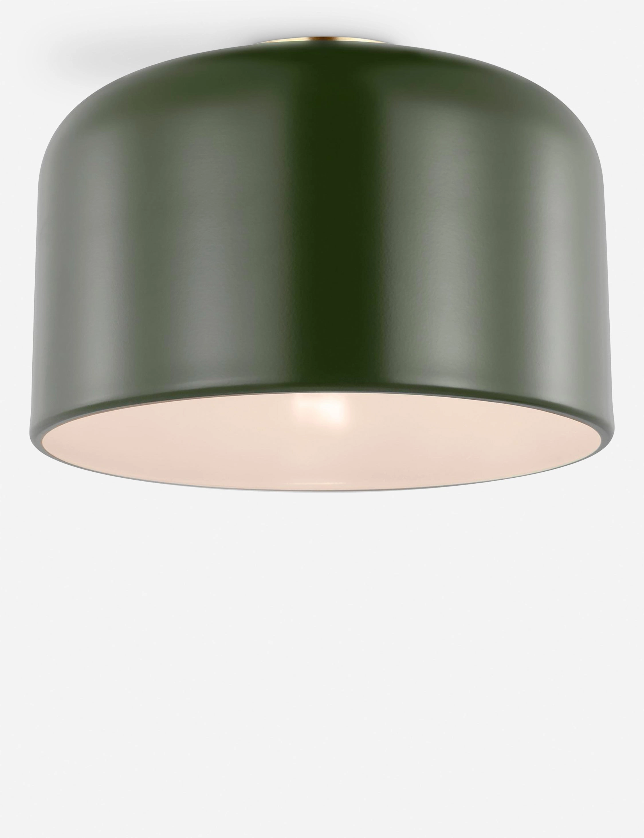 Olaf Flush Mount Light