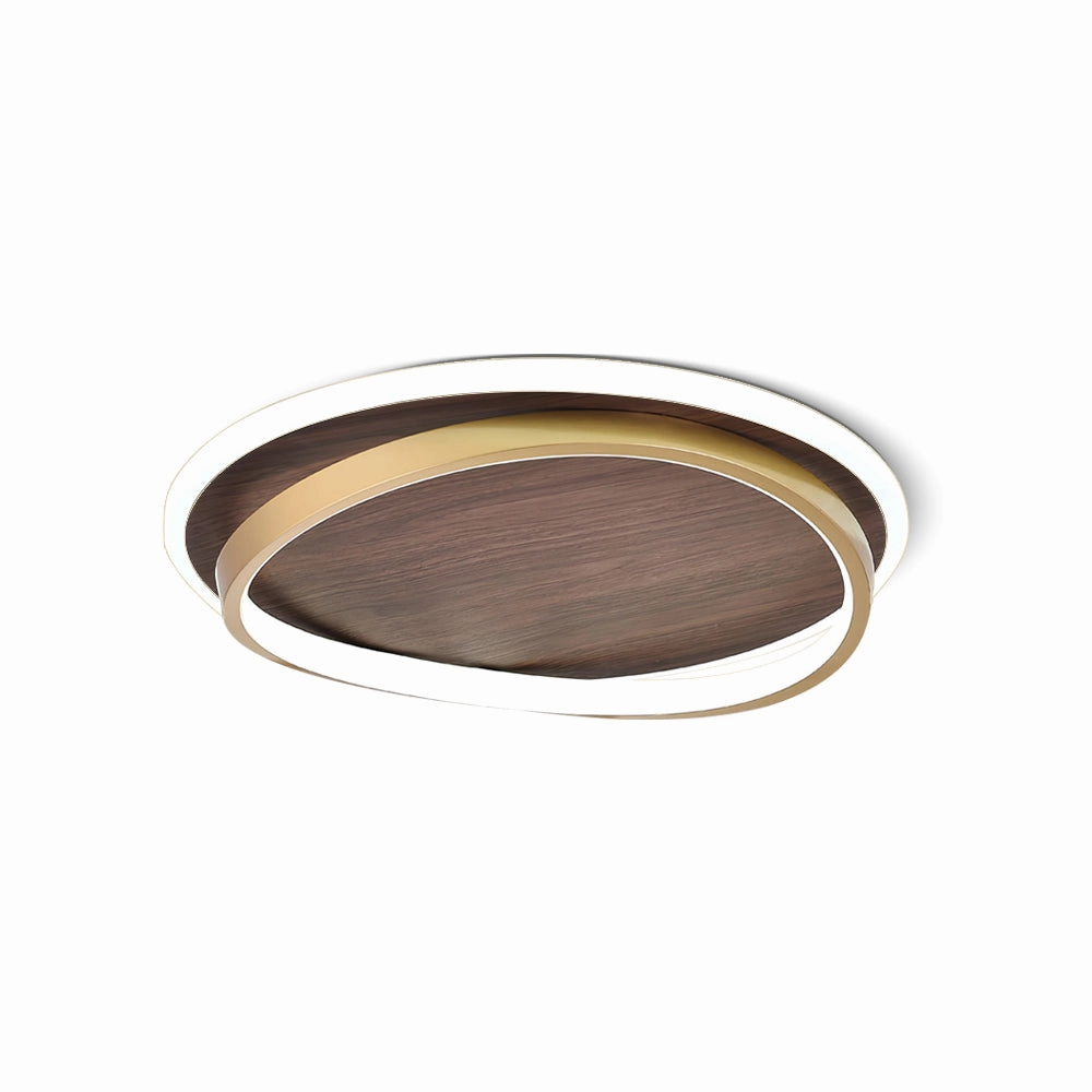 Parfco Ceiling Lamp recessed ceiling spot lamp