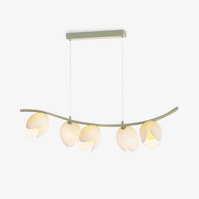 Pistachio Pendant Lamp round ceiling light