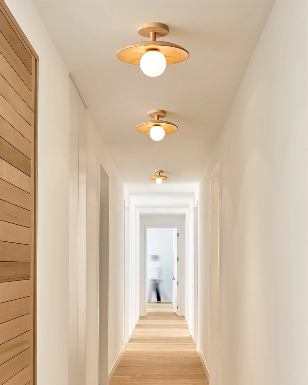 Plafon Ceiling Lamp
