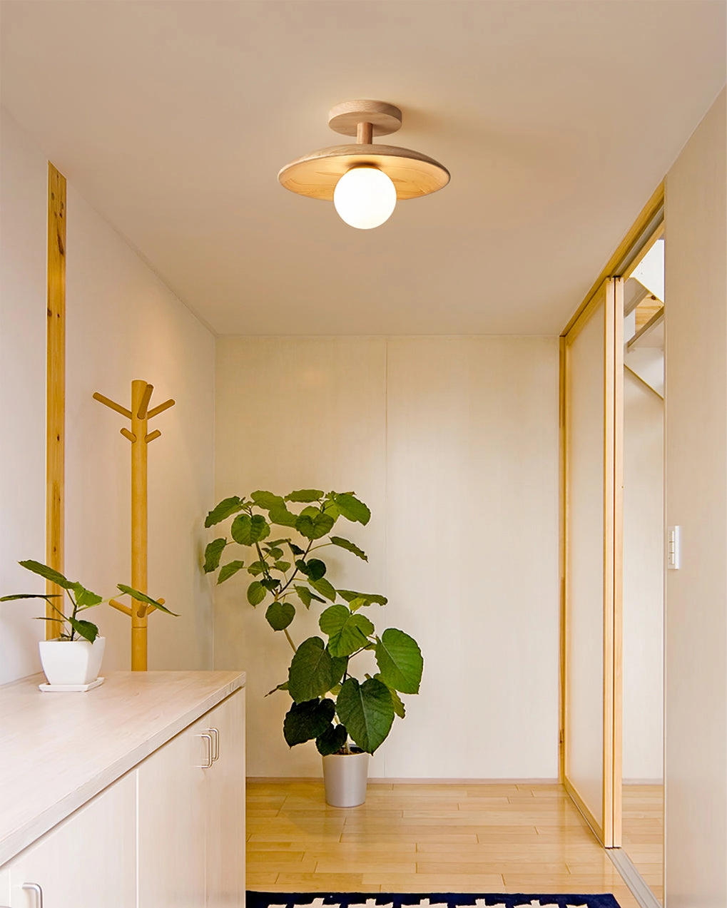 Plafon Ceiling Lamp