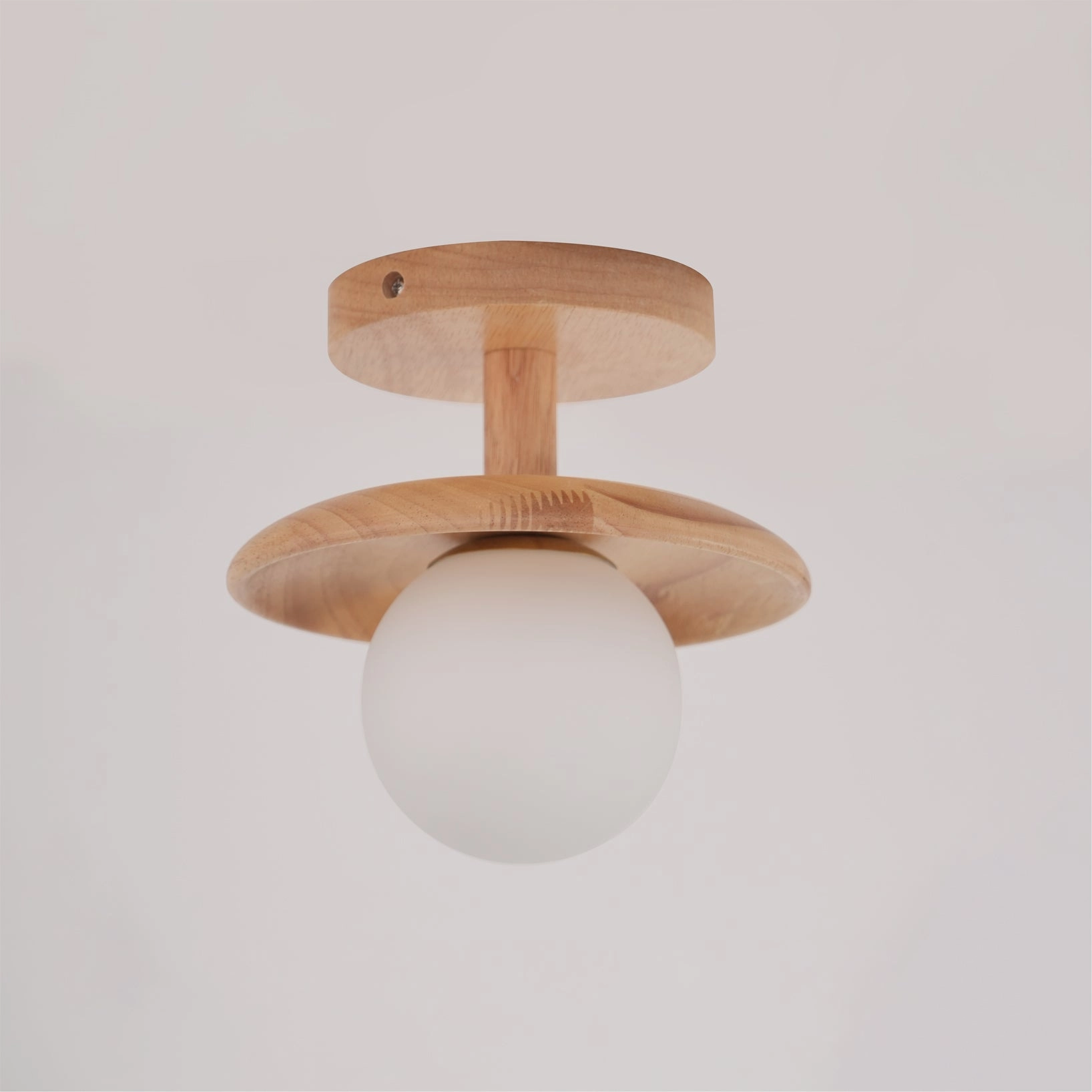 Plafon Ceiling Lamp