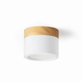 Plafonnier Spot Ceiling Lamp recessed ceiling spot lamp