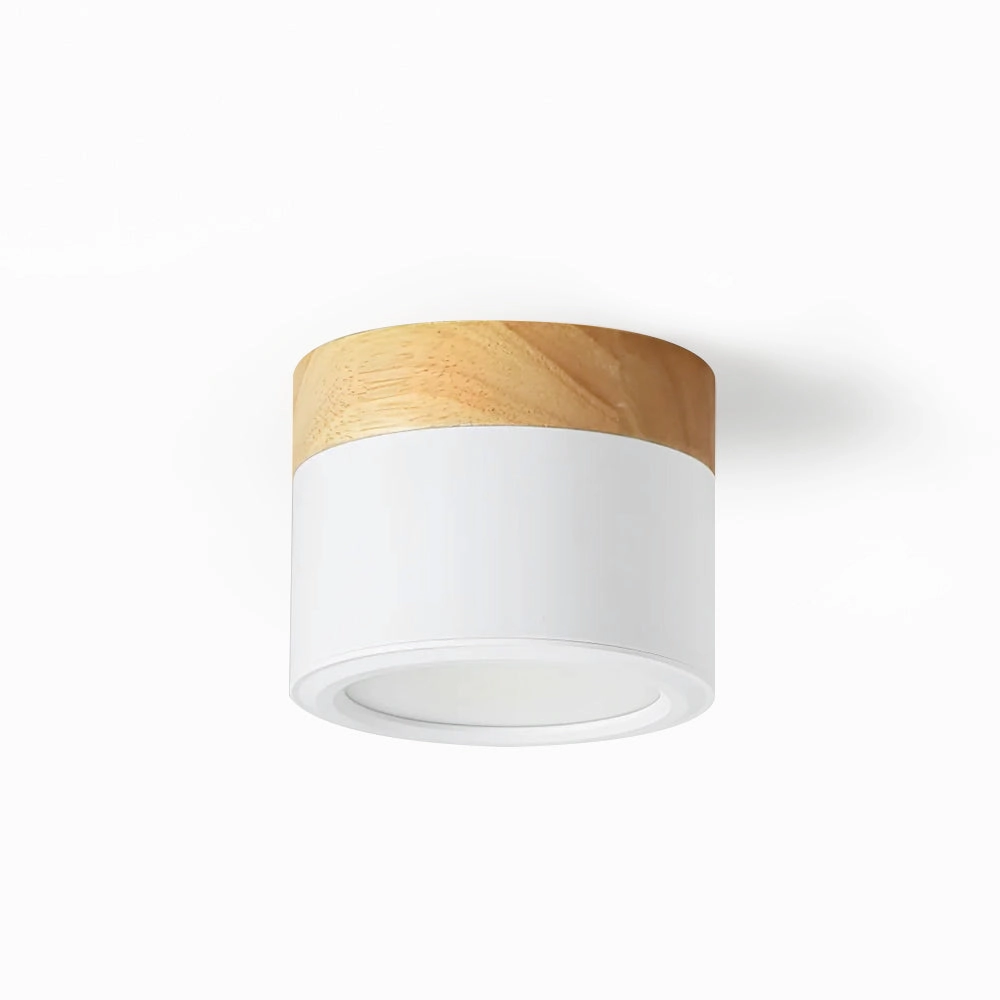 Plafonnier Spot Ceiling Lamp recessed ceiling spot lamp
