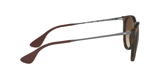Ray-Ban Erika RB4171F 865/13