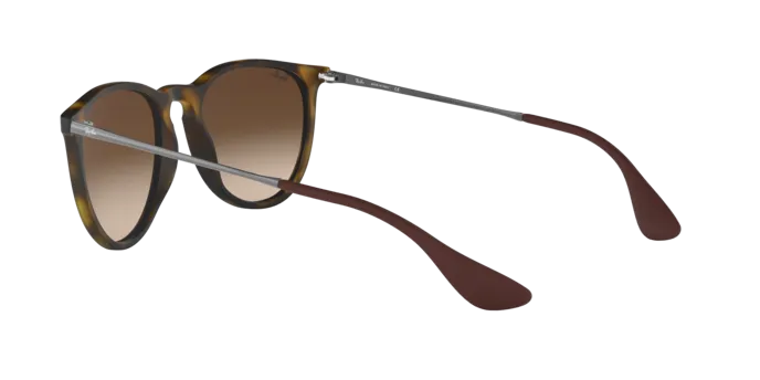 Ray-Ban Erika RB4171F 865/13