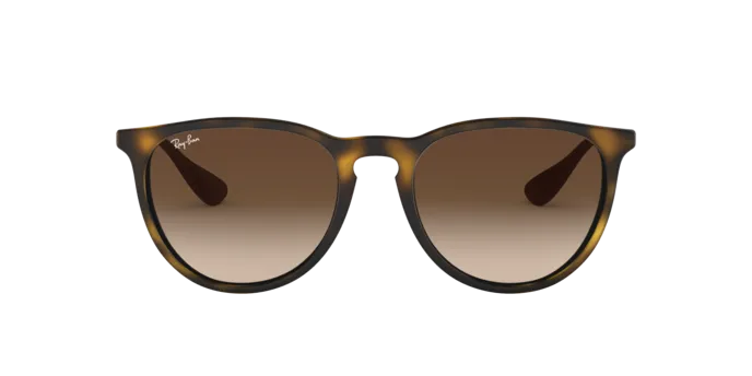 Ray-Ban Erika RB4171F 865/13