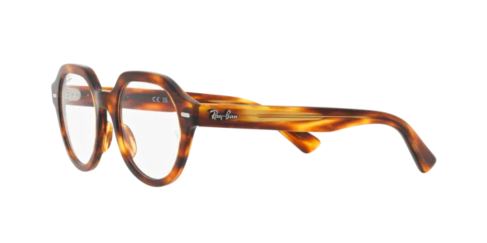 Ray-Ban Gina RX7214 2144