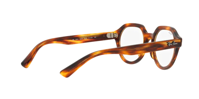 Ray-Ban Gina RX7214 2144