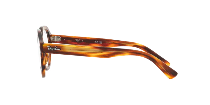 Ray-Ban Gina RX7214 2144