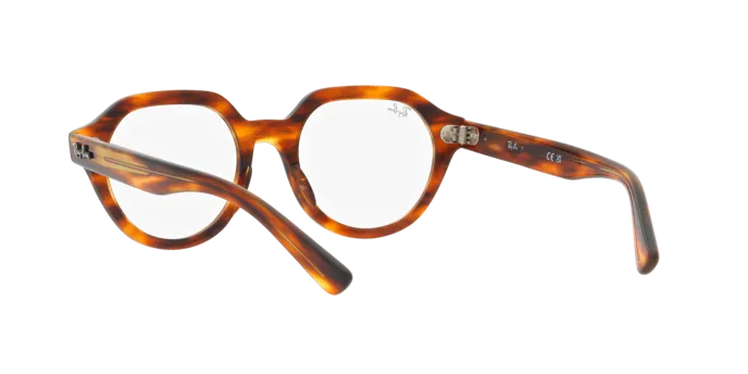 Ray-Ban Gina RX7214 2144