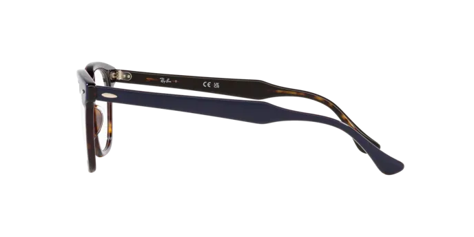 Ray-Ban Hawkeye RX5398 8283