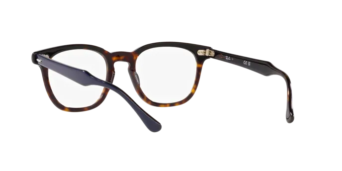Ray-Ban Hawkeye RX5398 8283