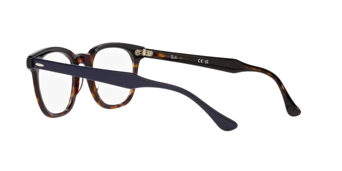 Ray-Ban Hawkeye RX5398 8283