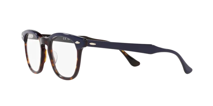 Ray-Ban Hawkeye RX5398 8283