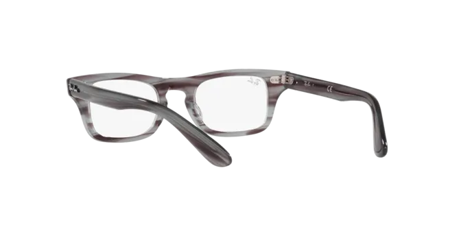 Ray-Ban Junior Burbank RY9083V 3850