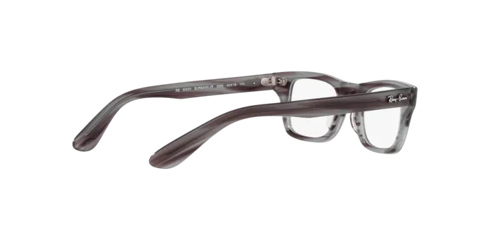 Ray-Ban Junior Burbank RY9083V 3850