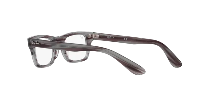 Ray-Ban Junior Burbank RY9083V 3850