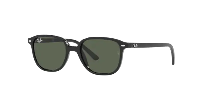 Ray-Ban Junior Leonard RJ9093S 100/71