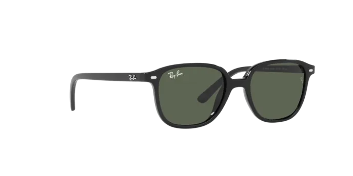 Ray-Ban Junior Leonard RJ9093S 100/71