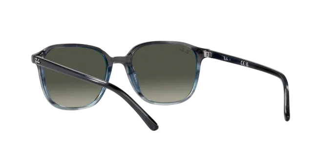Ray-Ban Leonard RB2193 138171