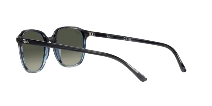 Ray-Ban Leonard RB2193 138171
