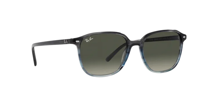 Ray-Ban Leonard RB2193 138171