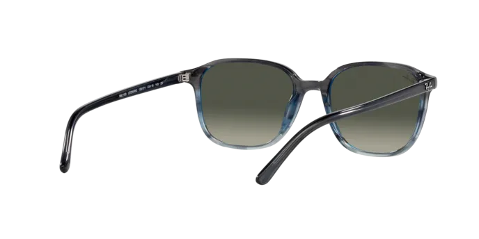 Ray-Ban Leonard RB2193 138171