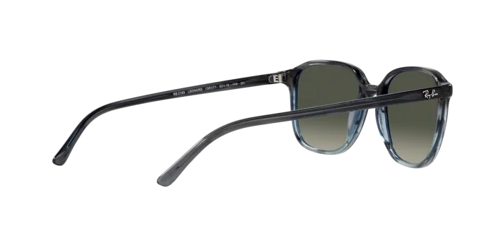 Ray-Ban Leonard RB2193 138171