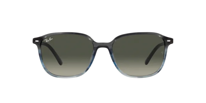 Ray-Ban Leonard RB2193 138171
