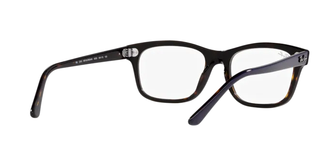 Ray-Ban Mr Burbank RX5383 8283