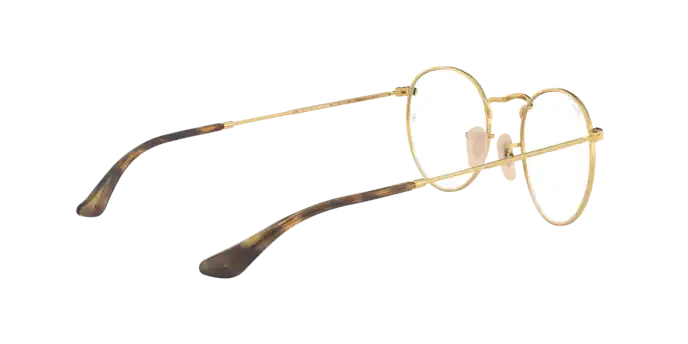 Ray-Ban Round Metal RX3447V 2500