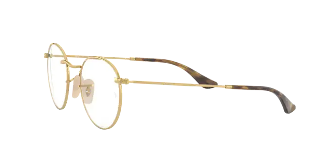 Ray-Ban Round Metal RX3447V 2500