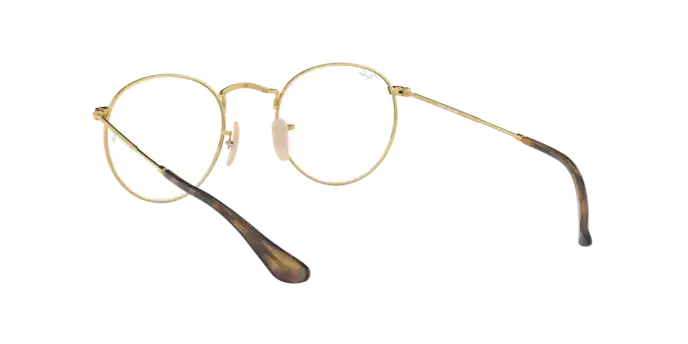 Ray-Ban Round Metal RX3447V 2500