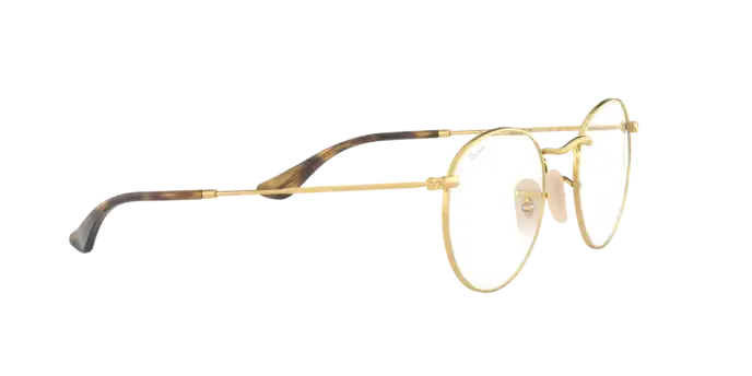 Ray-Ban Round Metal RX3447V 2500