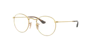 Ray-Ban Round Metal RX3447V 2500