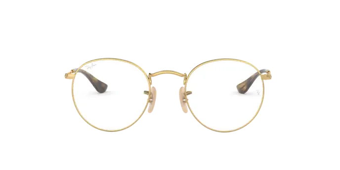 Ray-Ban Round Metal RX3447V 2500