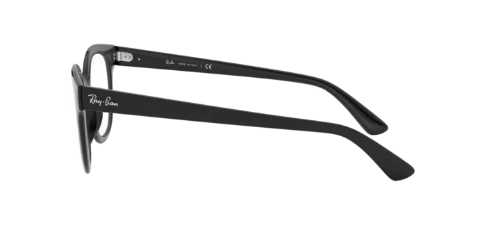 Ray-Ban RX4324V 2000