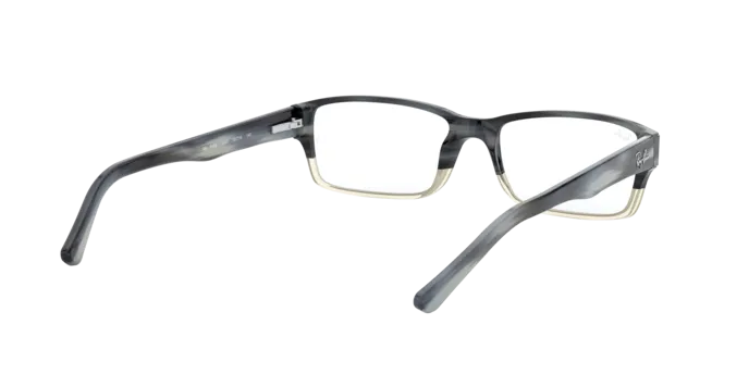 Ray-Ban RX5169 5540