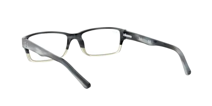 Ray-Ban RX5169 5540