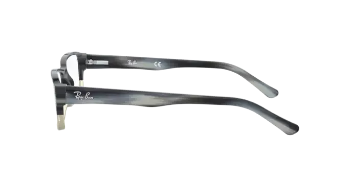 Ray-Ban RX5169 5540