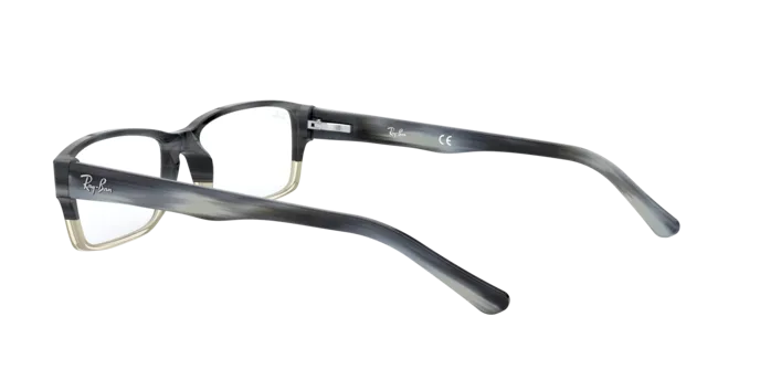 Ray-Ban RX5169 5540