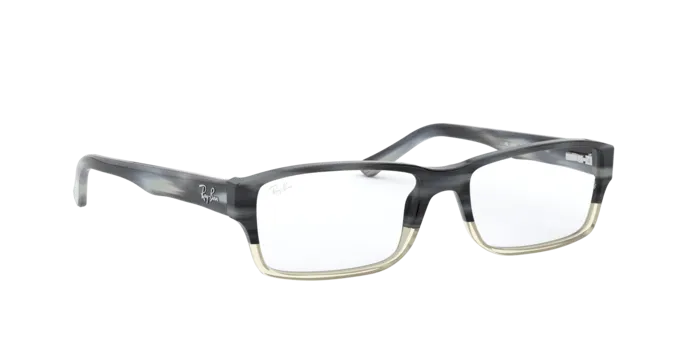Ray-Ban RX5169 5540