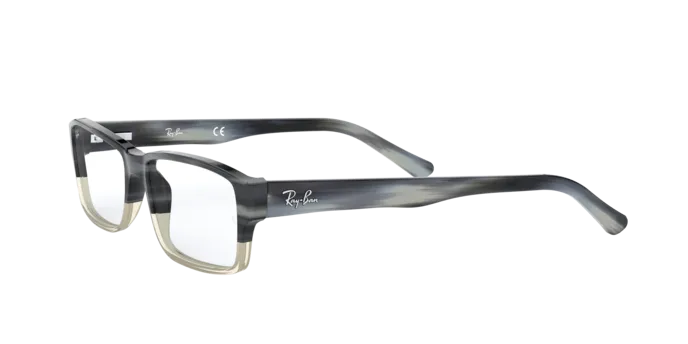 Ray-Ban RX5169 5540