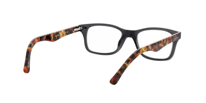 Ray-Ban RX5228 5629