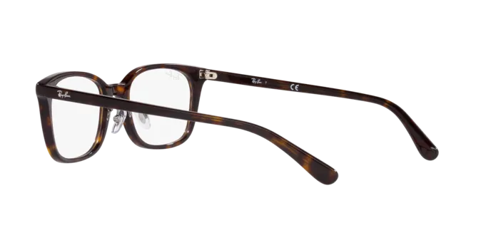 Ray-Ban RX5407D 2012