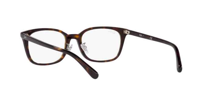 Ray-Ban RX5407D 2012