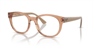 Ray-Ban RX7227 8313