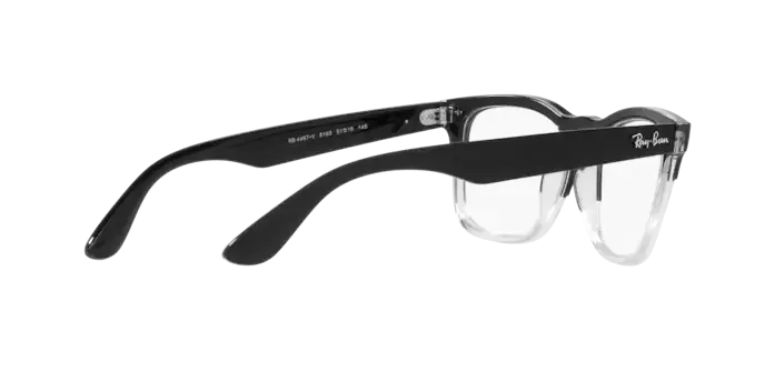 Ray-Ban Steve RX4487V 8193